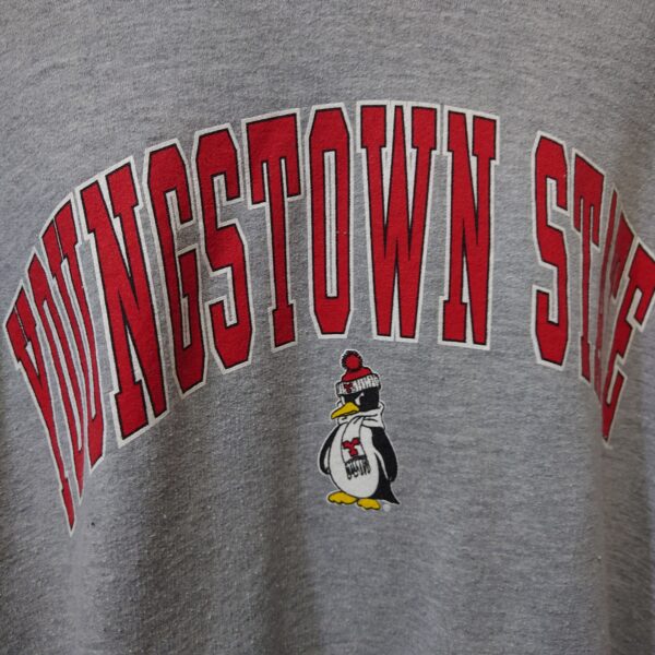 College hoodie　”YOUNGSTOWN STATE” - 画像 (3)